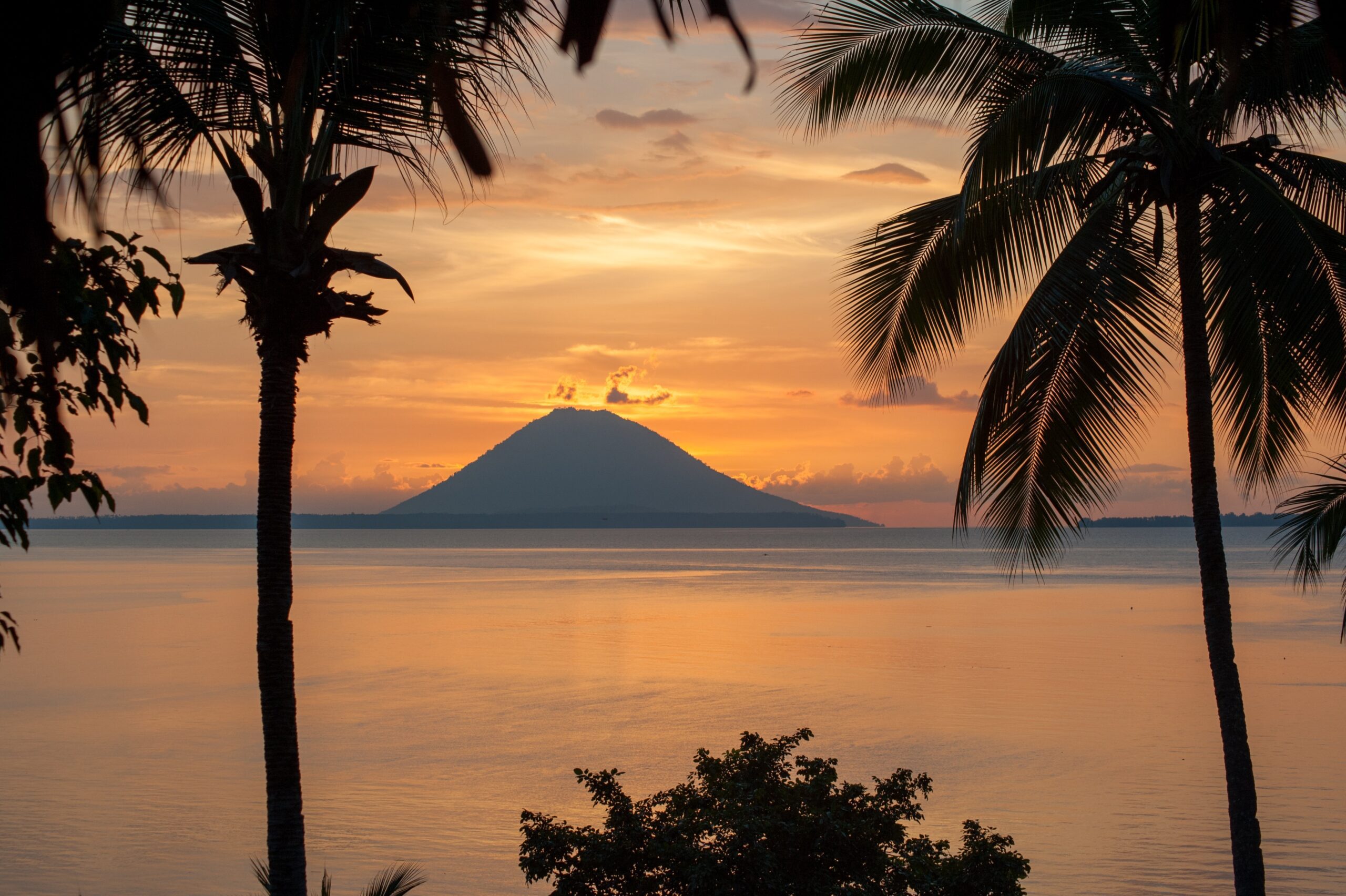 Volcano next to the sea with palm tree silhouettes at sunset