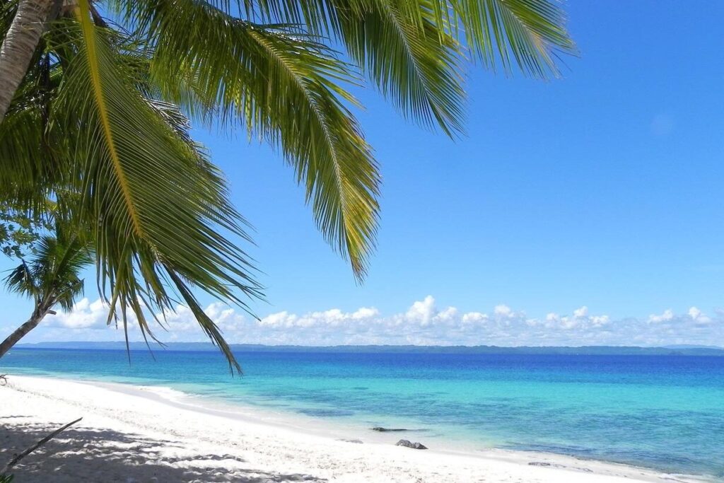 White sand beach and turquoise blue sea with a palm tree and a blue sky