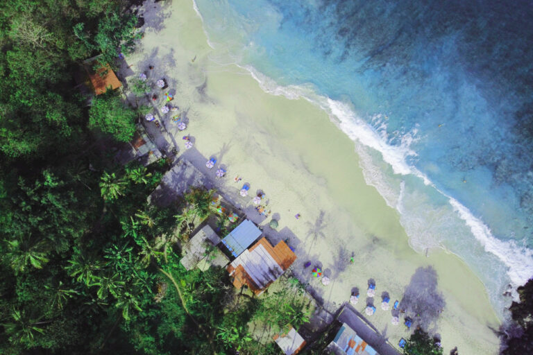Aerial view of beach with houses and trees