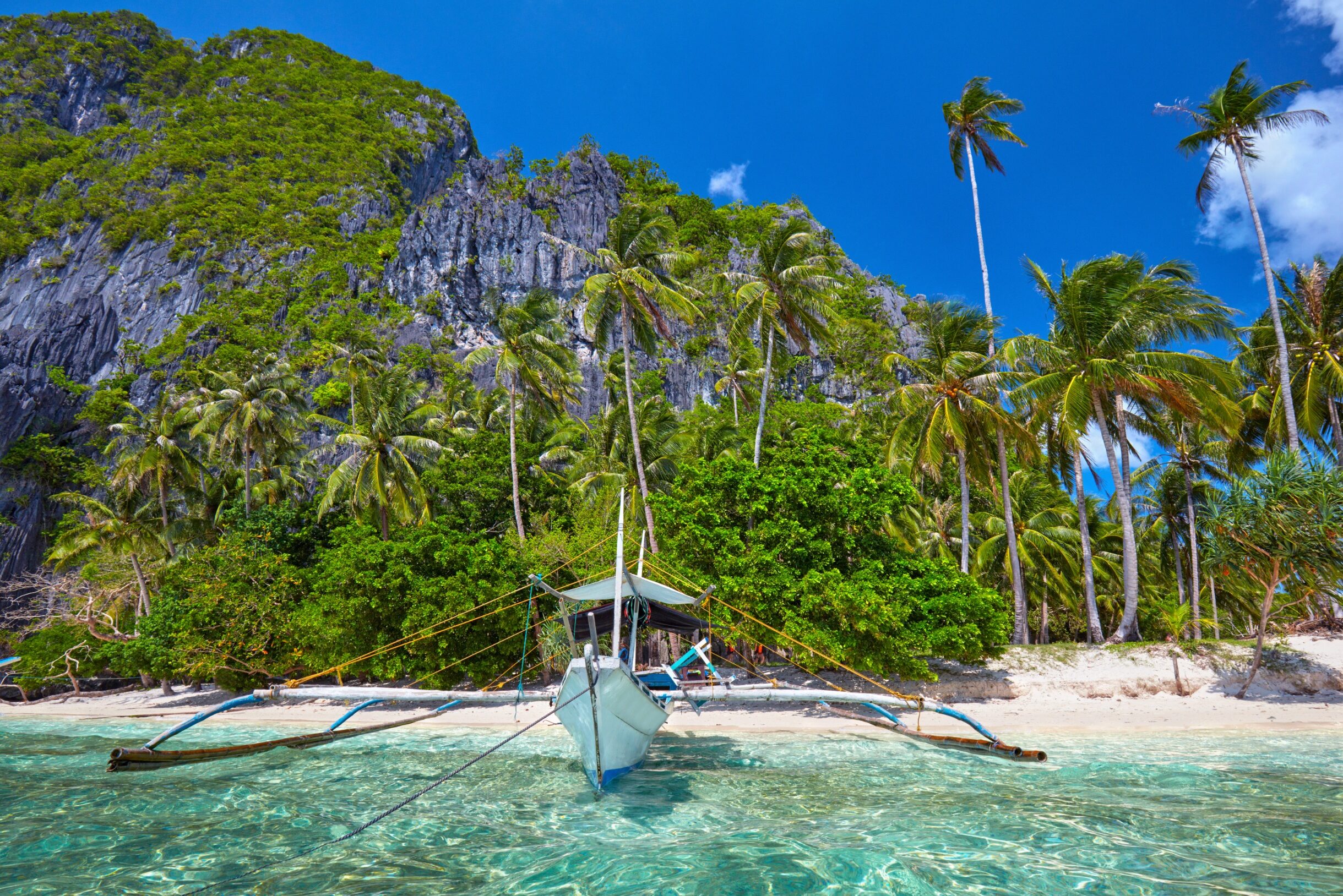 Traditional Filipino boat in front of white sand beach with palm trees and lime karsts