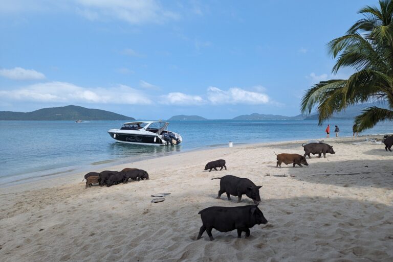 Koh Madsum