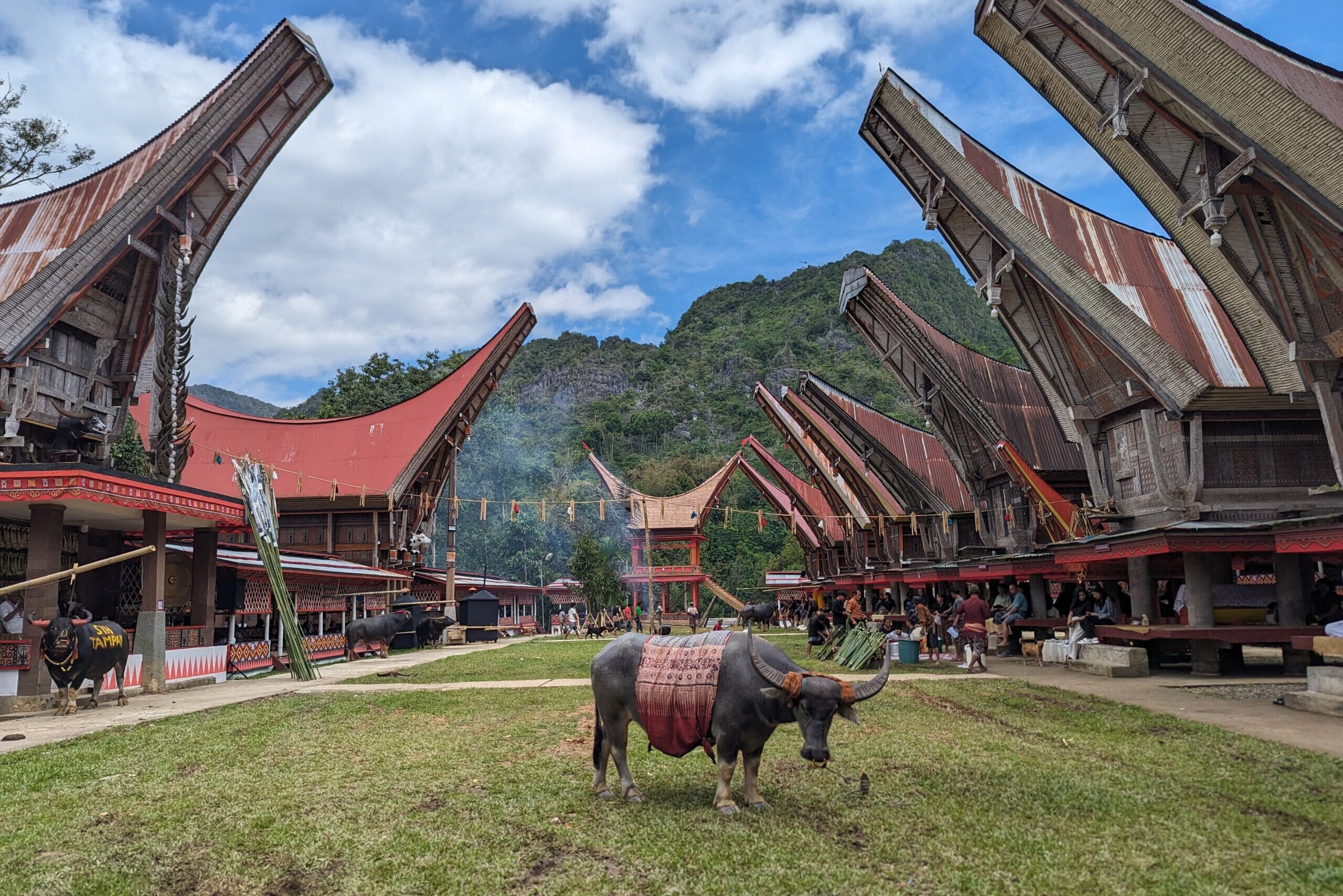 Funeral, Toraja