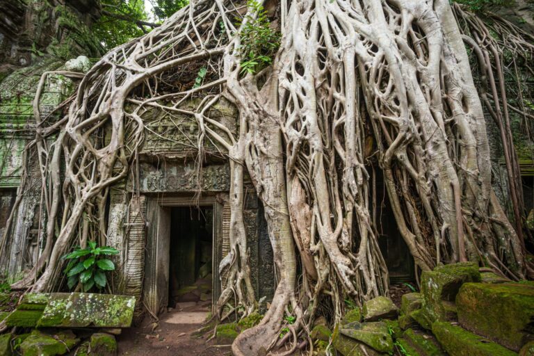 Templo de Ta Prohm