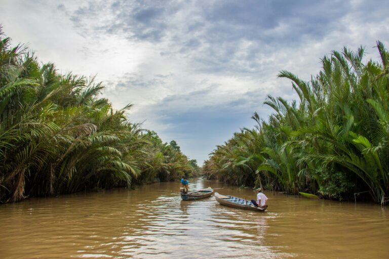 Delta del Mekong